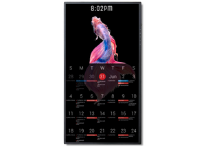 Digital Screen Calendar